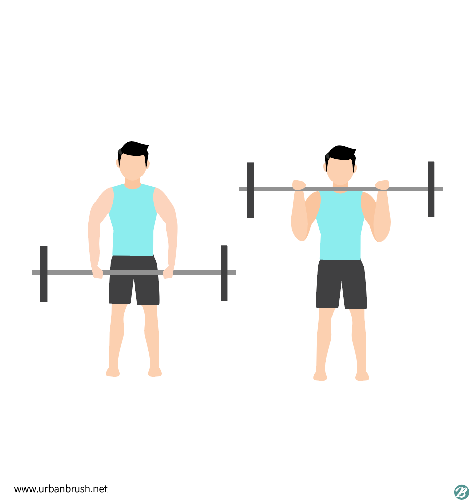 Upright row with barbell workout exercise Vector Image