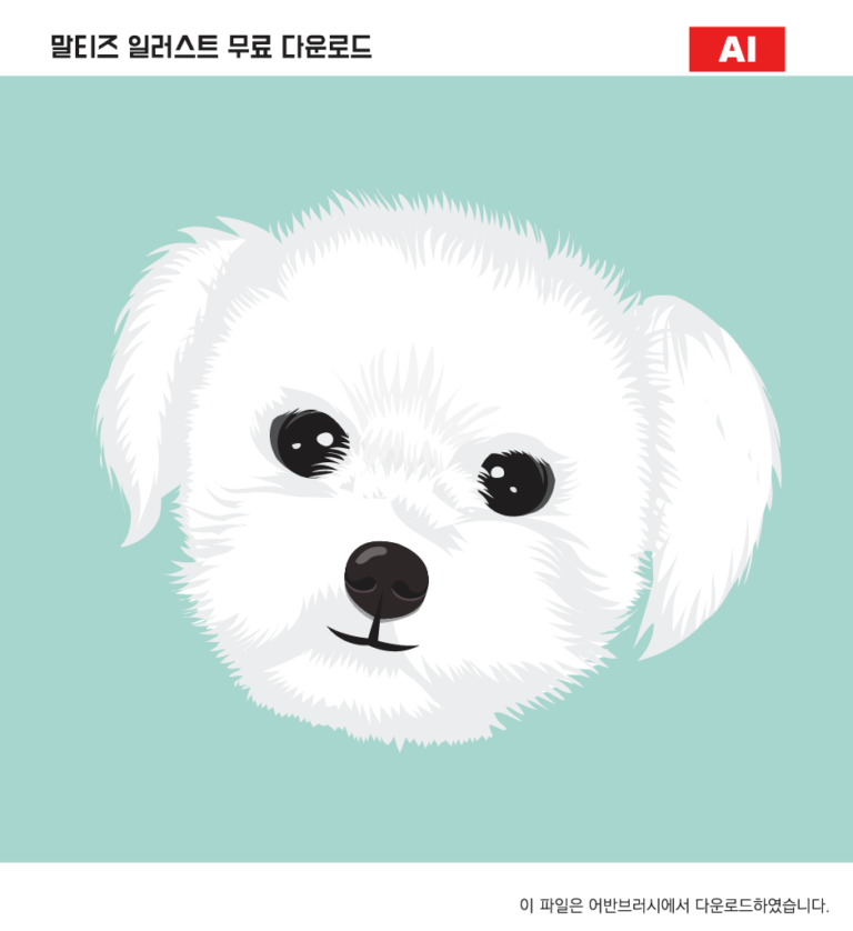 말티즈 일러스트 백터 ai 다운로드 -  Maltese illustration