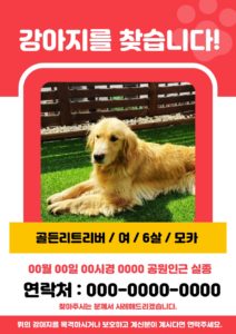 강아지를 찾습니다 전단지