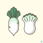 무 배추 일러스트 ai 다운로드 download radish cabbage vector