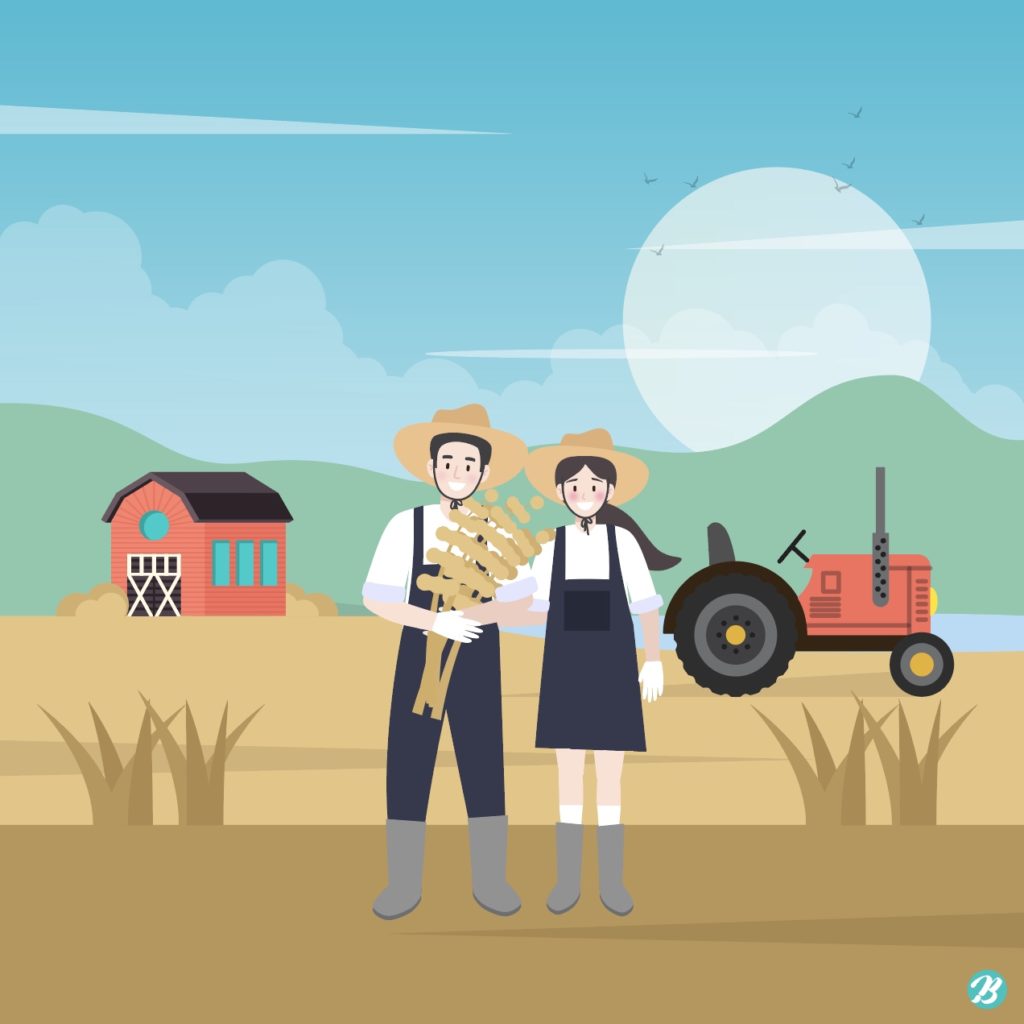 농장 추수 농부