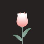 튤립 꽃잎 일러스트 ai 다운로드 download tulip petals vector