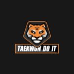 태권도 잇 태권도 로고 호랑이 일러스트 ai 독점 다운로드 download Taekwon Do It logo vector