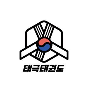 태극 태권도 큐브