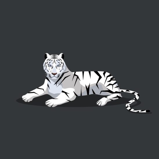 백호 호랑이 전신