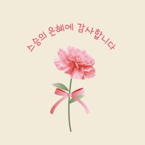 스승의 날 카네이션
