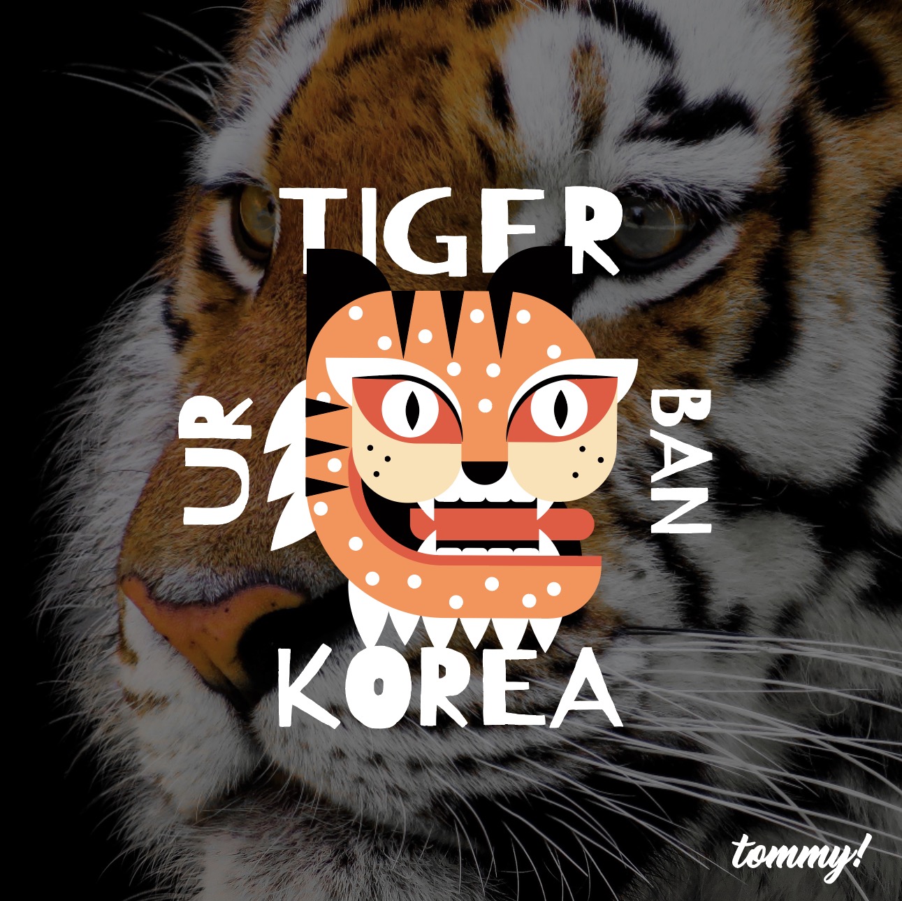 한국 전통 호랑이