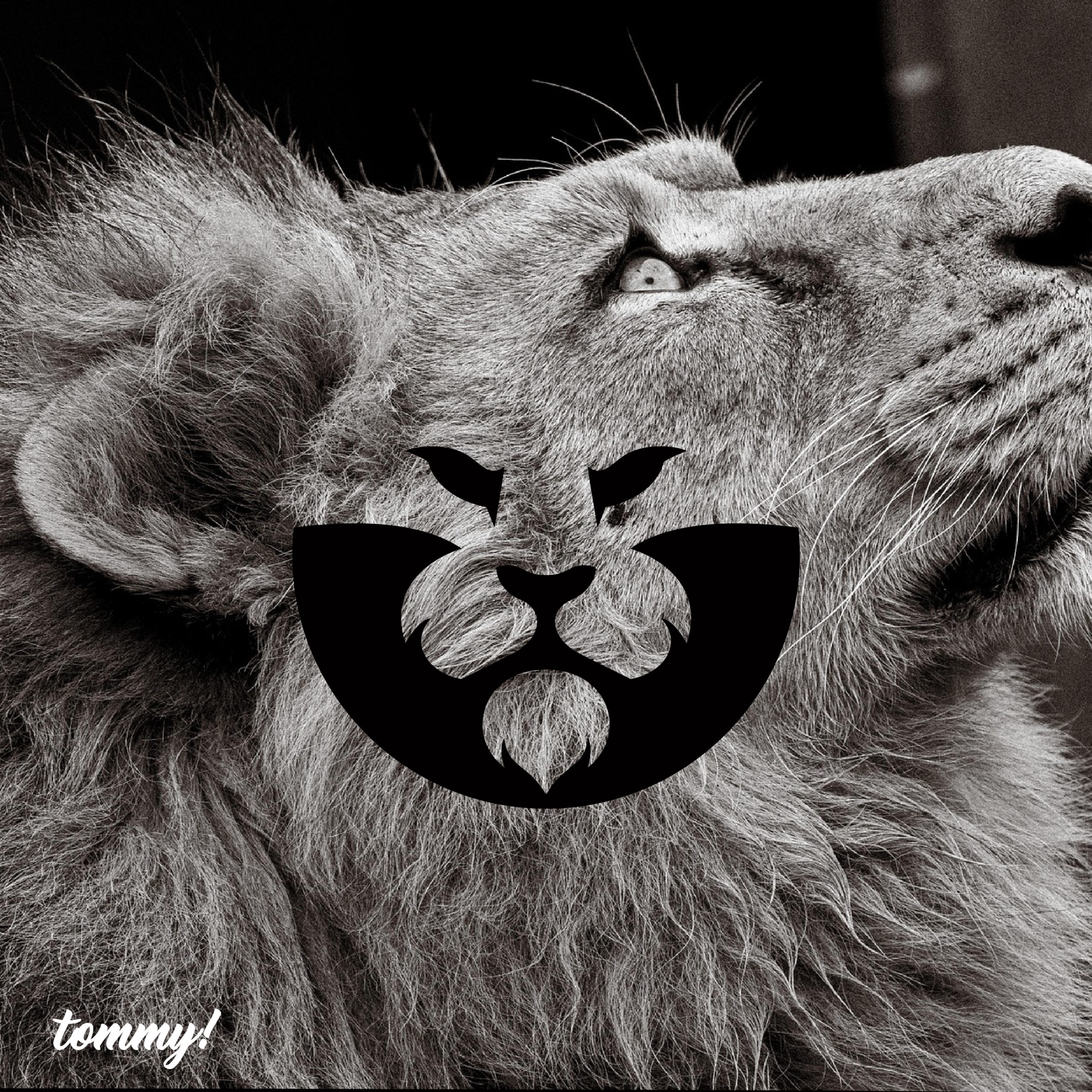 사자 실루엣 얼굴