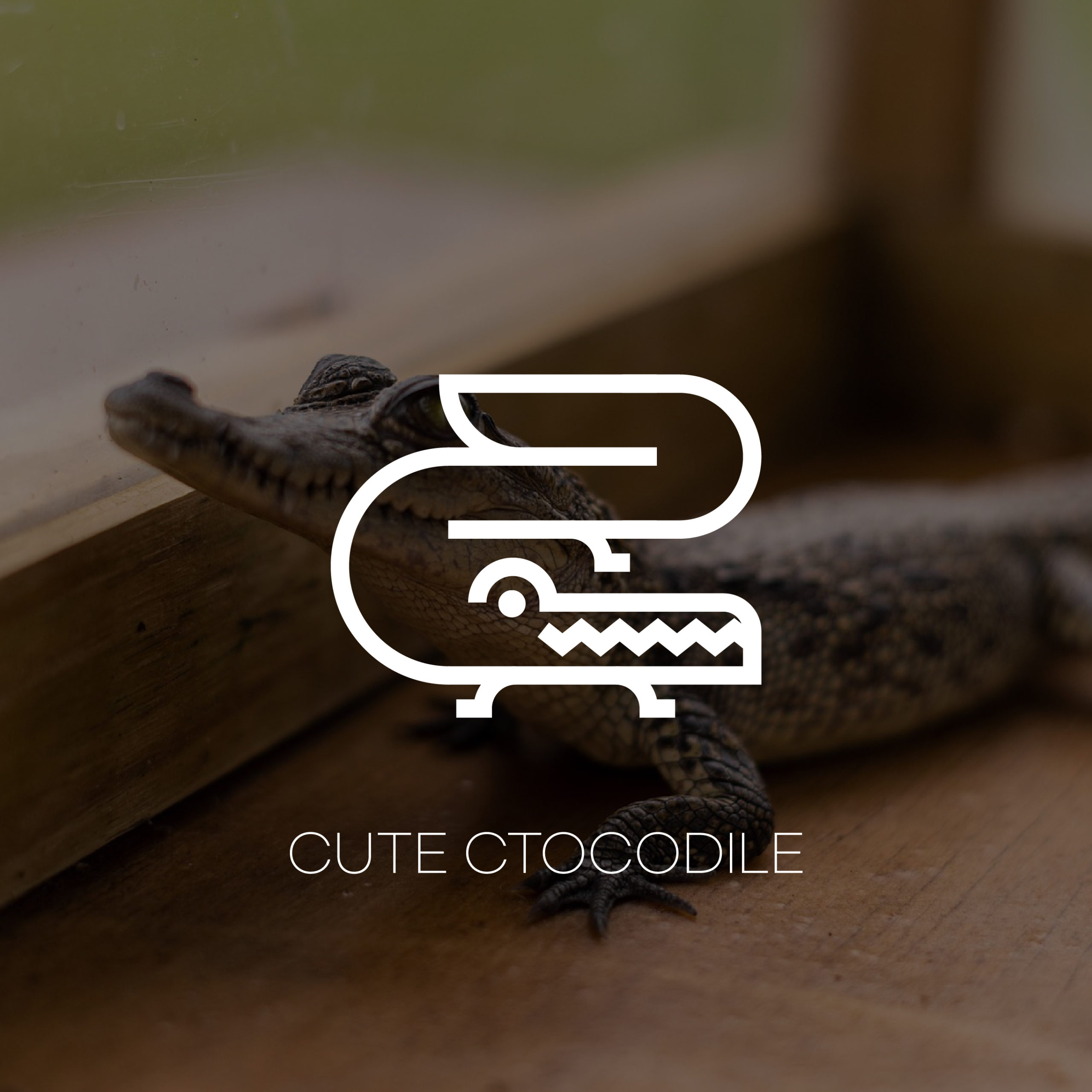 귀여운 악어 캐릭터