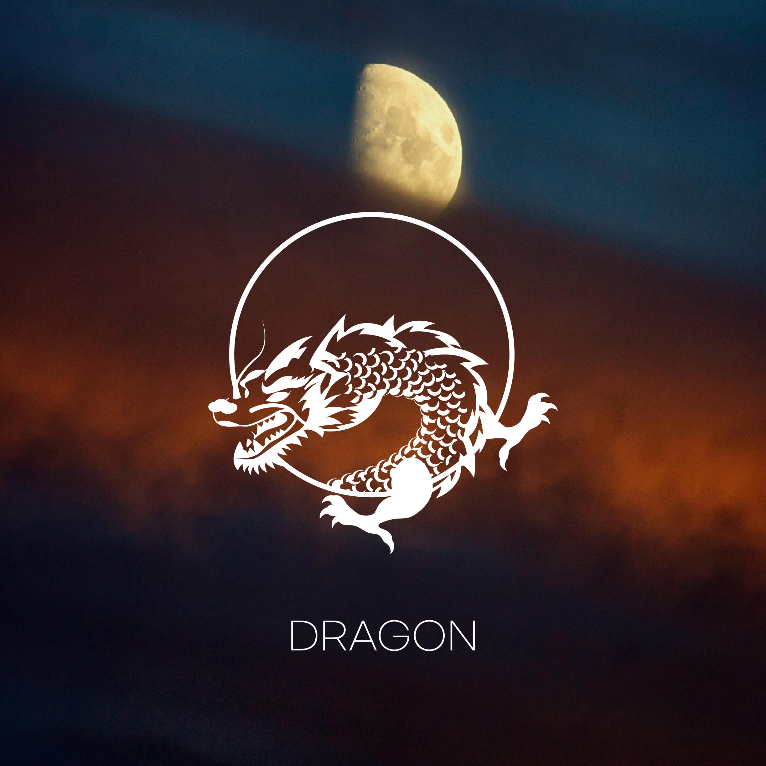 드래곤 용 전설