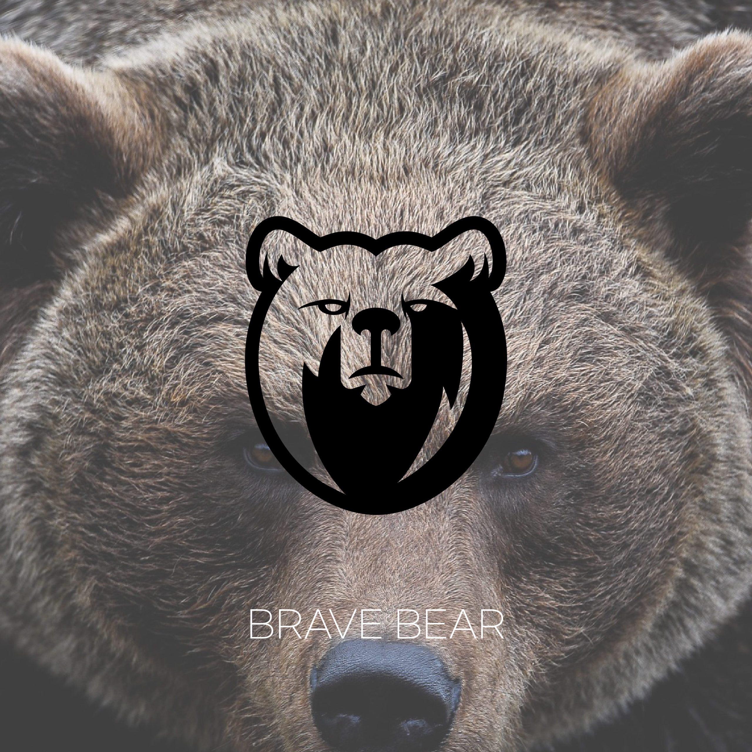 용맹한 곰 얼굴