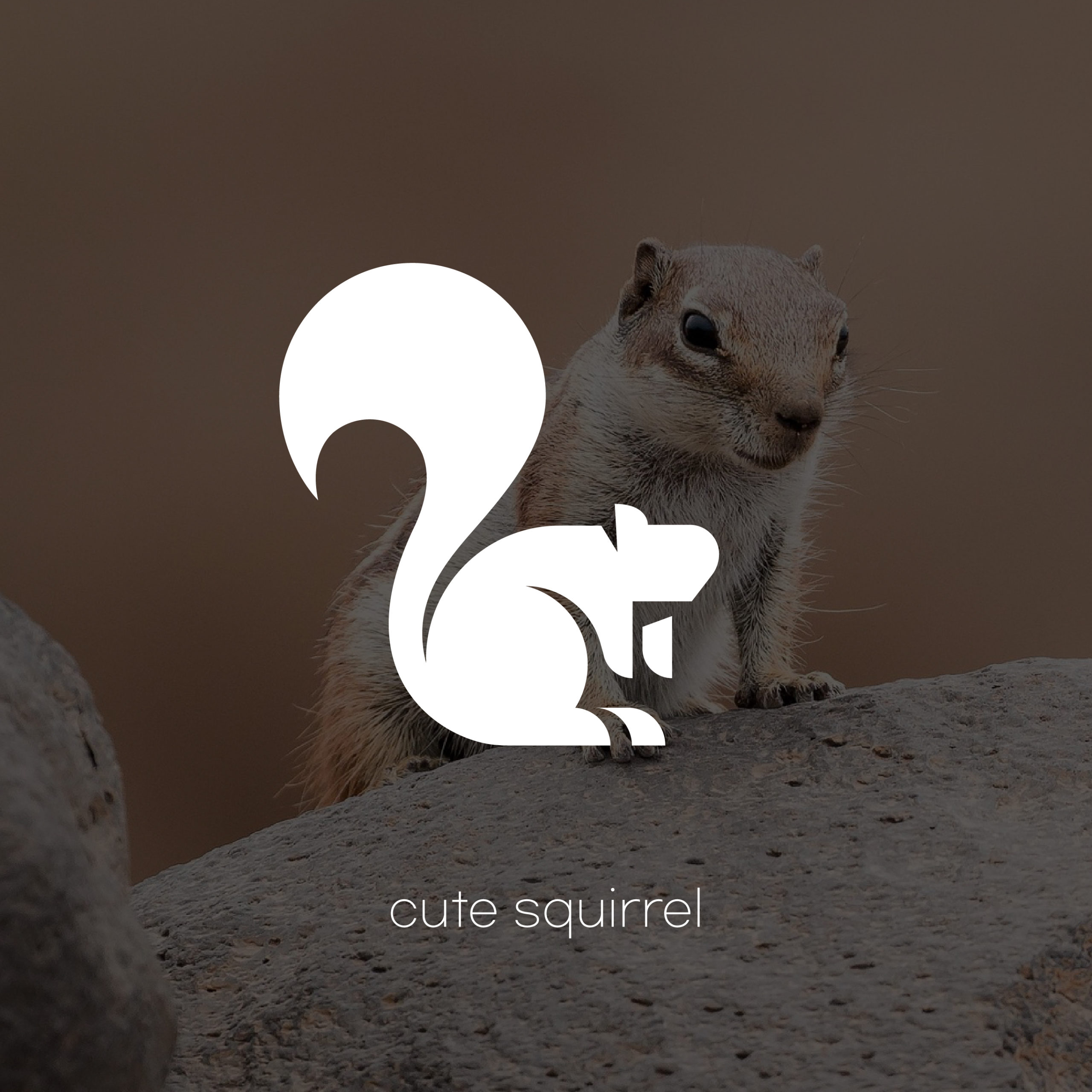 귀여운 다람쥐 로고