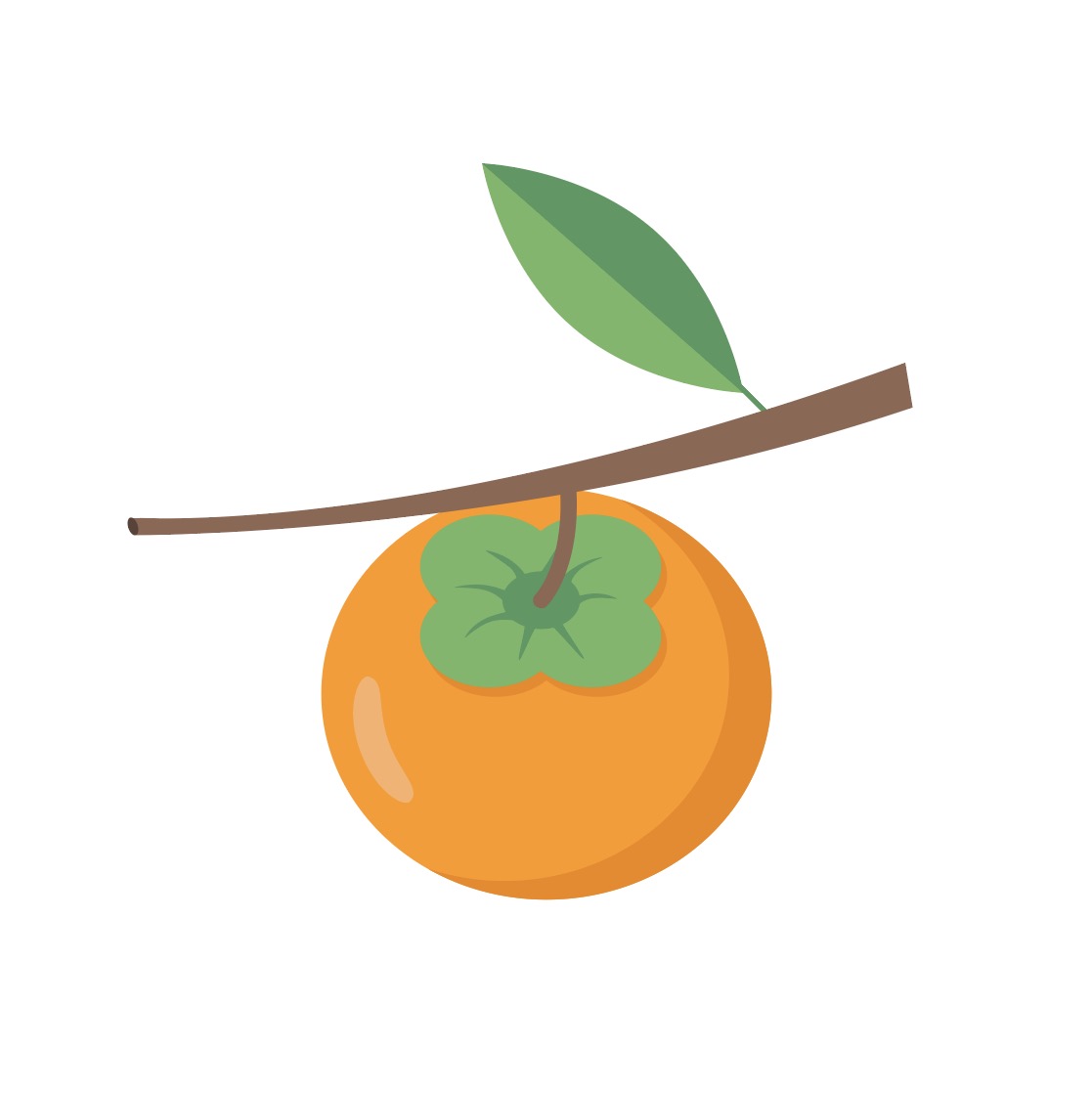 단감 과일 일러스트