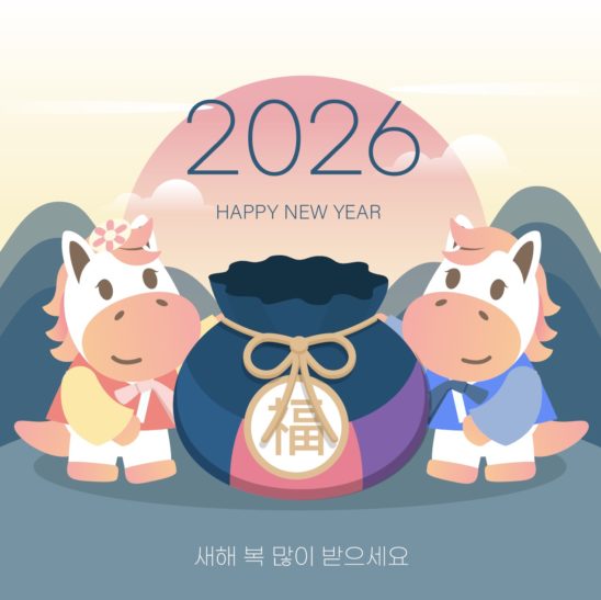 2026년 병오년 복주머니