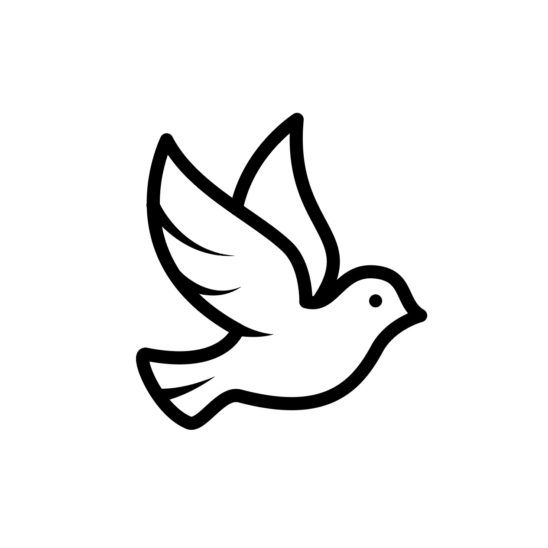 비둘기 라인 일러스트