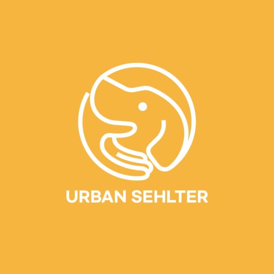 동물 보호소 강아지