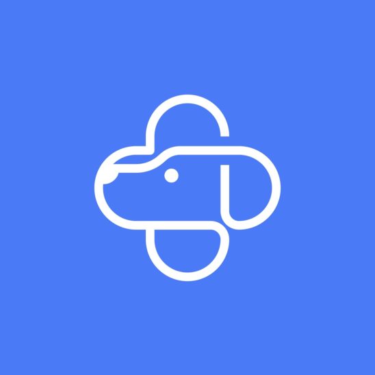 십자가 강아지 동물병원