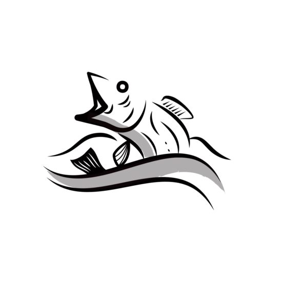 바다 코다리 물결