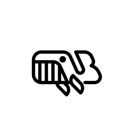 귀여운 아기 고래