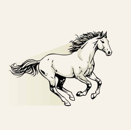 달리는 말 일러스트