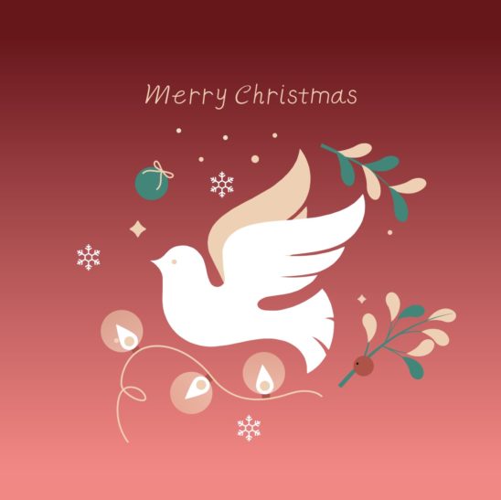 크리스마스 비둘기 카드
