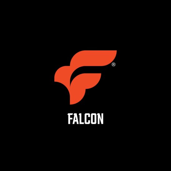 팰컨 독수리 F