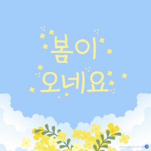 봄 개나리 유채꽃 일러스트 다운로드 할 수 있는 ai 벡터 이미지입니다- 어반브러시