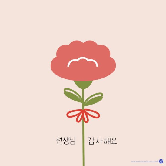 스승의 날 카네이션 편지 다운로드 할 수 있는 ai 벡터 이미지입니다- 어반브러시