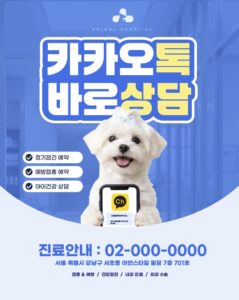 동물병원 카카오톡 상담 카드뉴스 다운로드 할 수 있는 ai 벡터 이미지입니다- 어반브러시