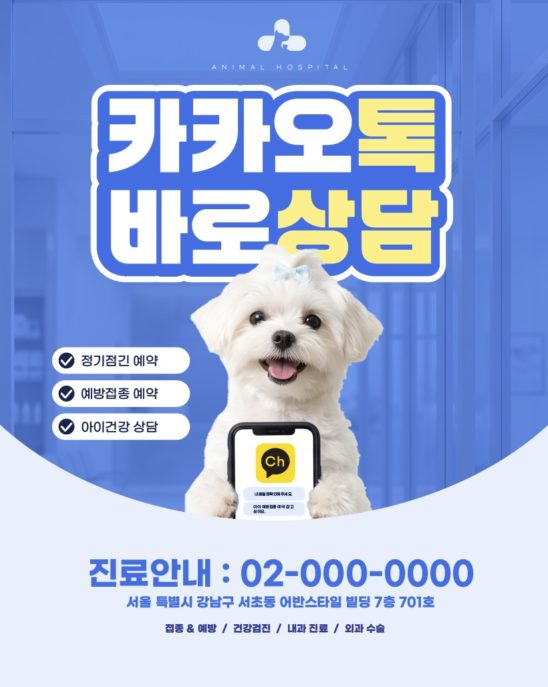 동물병원 카카오톡 상담 카드뉴스 다운로드 할 수 있는 ai 벡터 이미지입니다- 어반브러시